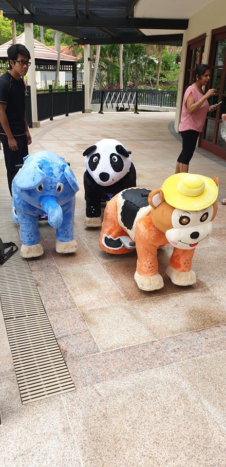 Animal Rides Rental | Pixel Party