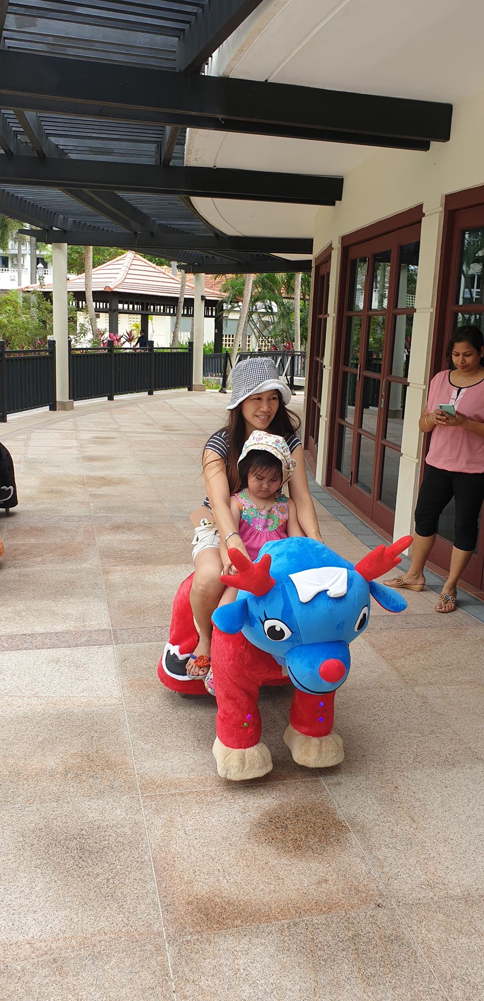Animal Rides Rental | Pixel Party