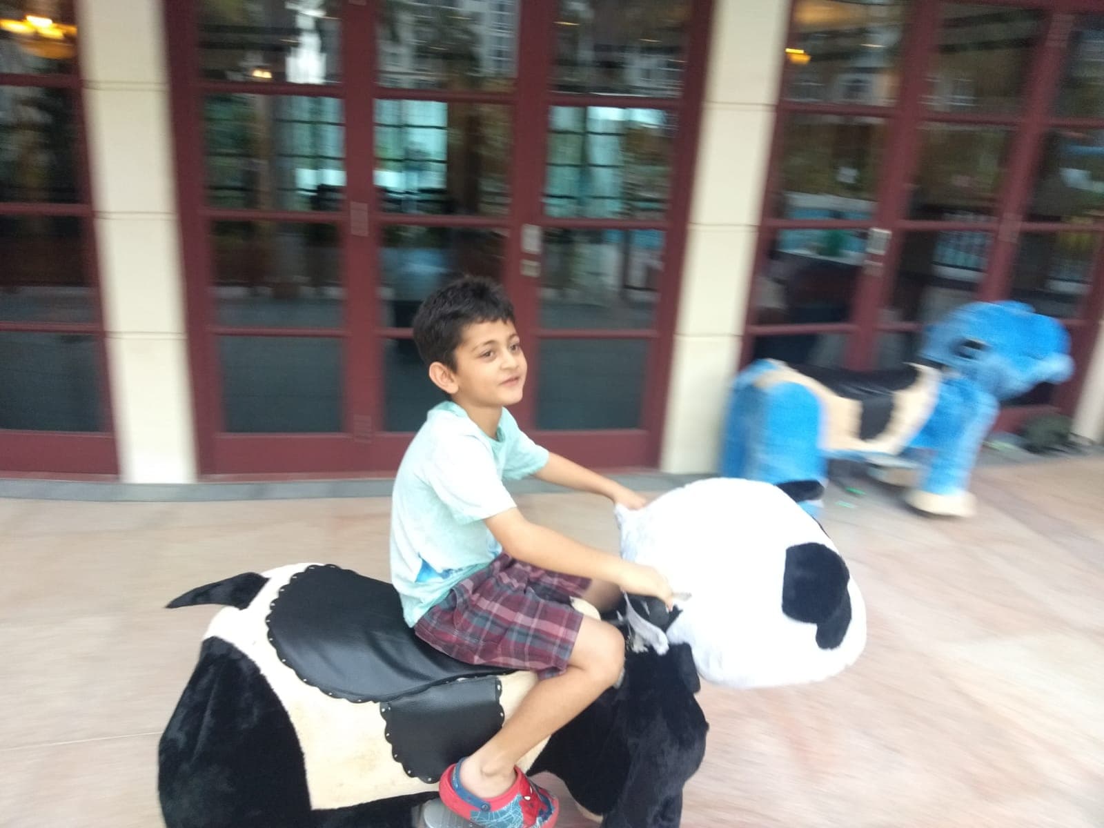Animal Rides Rental | Pixel Party SG