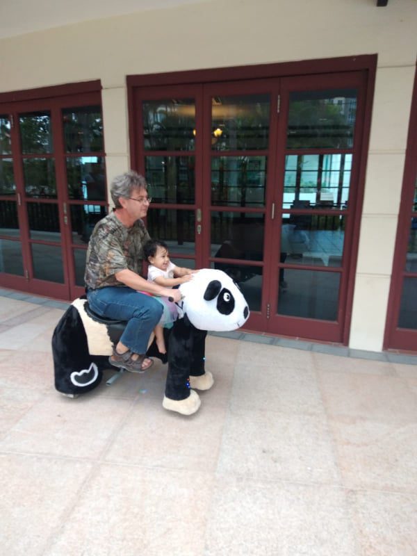 Animal Rides Rental | Pixel Party