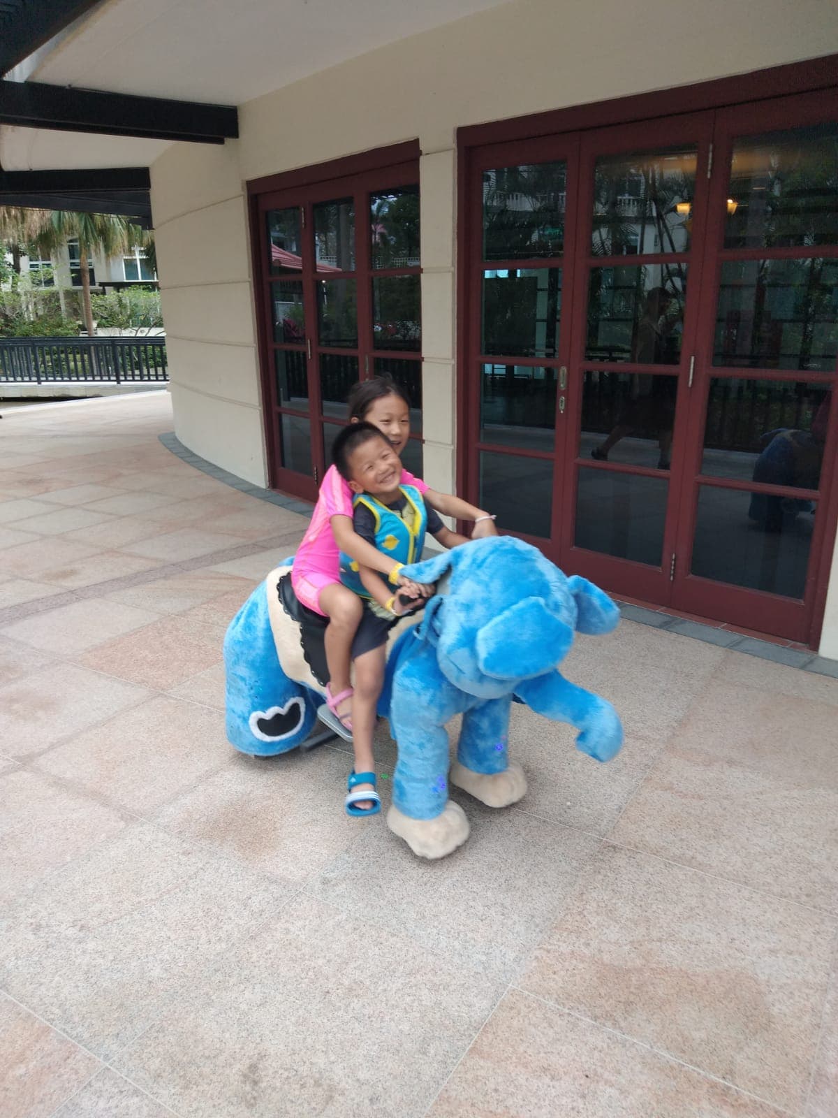 Animal Rides Rental | Pixel Party