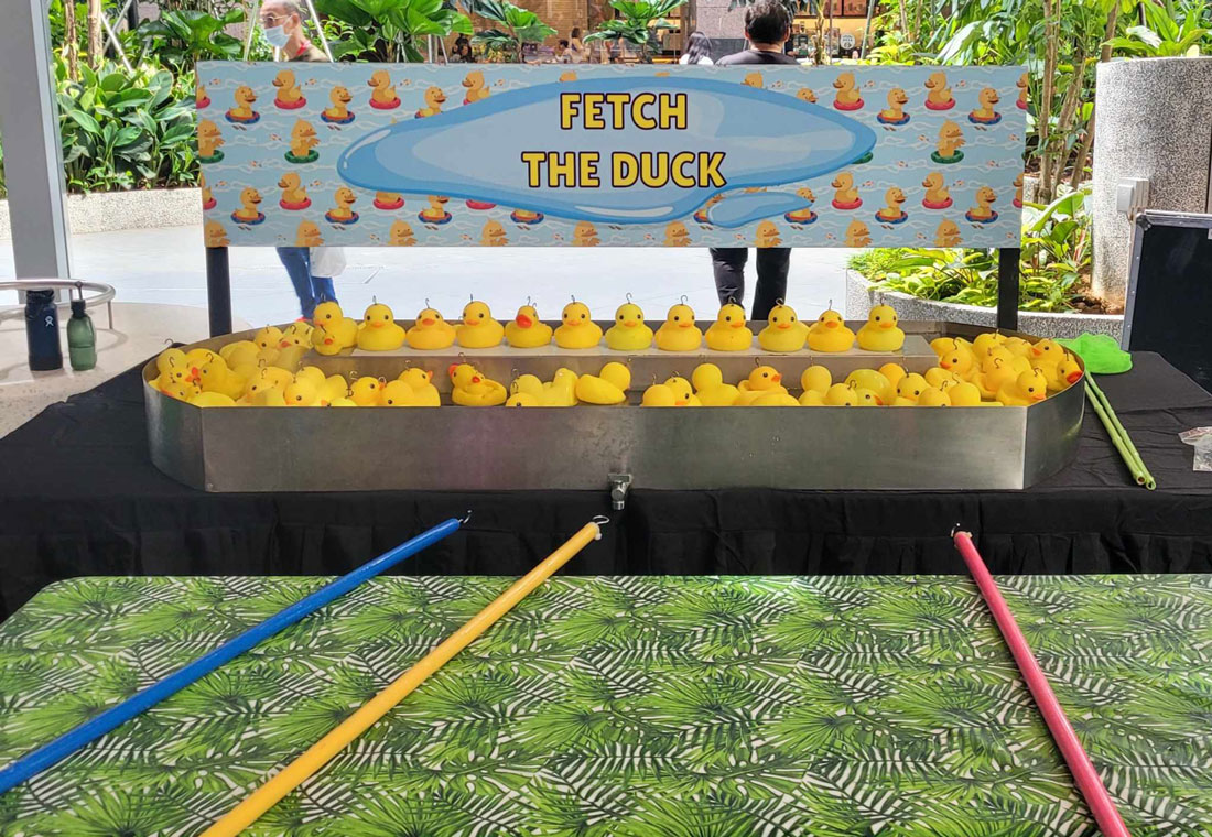 Fetch the Duck Carnival Deluxe Games Rental