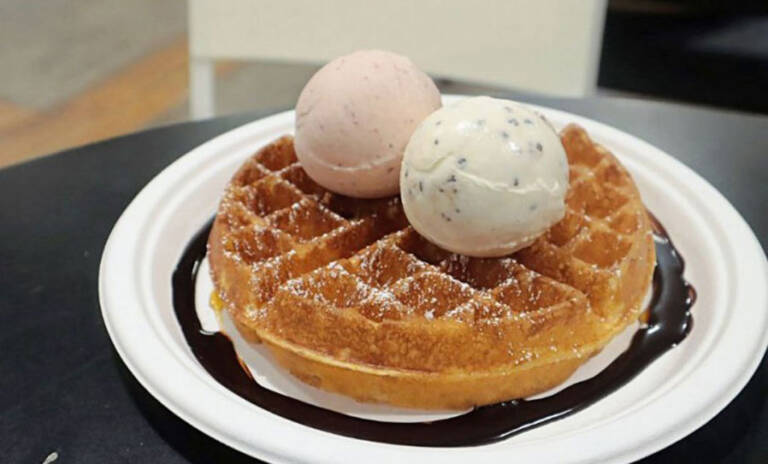 Waffle ice cream rental singapore