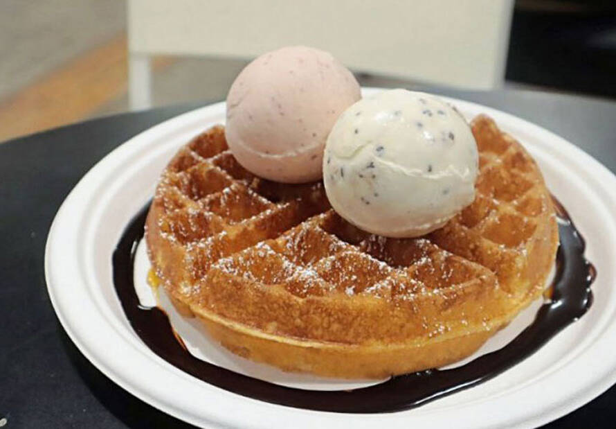 Waffle ice cream rental singapore
