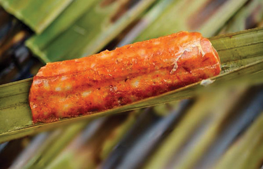 Otah Live Station Rental Singapore