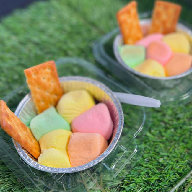 Rainbow Smores Live Station Rental Singapore
