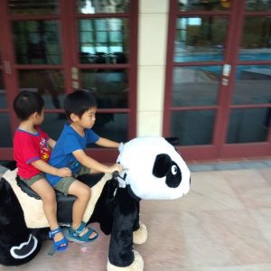 animal-ride-singapore