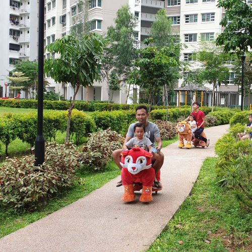animal-rides-rental-singapore