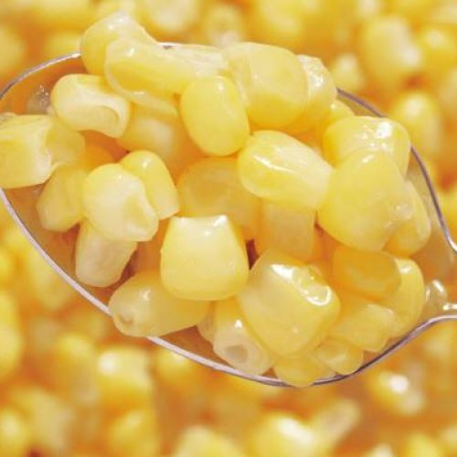 cup-corn-station-rental