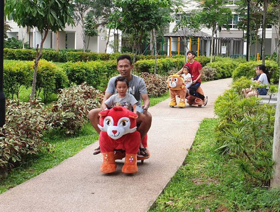 Kiddie Animal Rides Rental Singapore