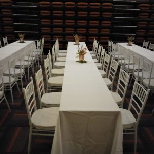tiffany-chair-rental